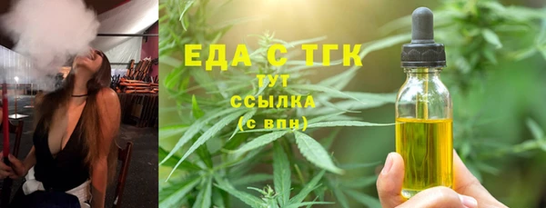 индика Вязьма